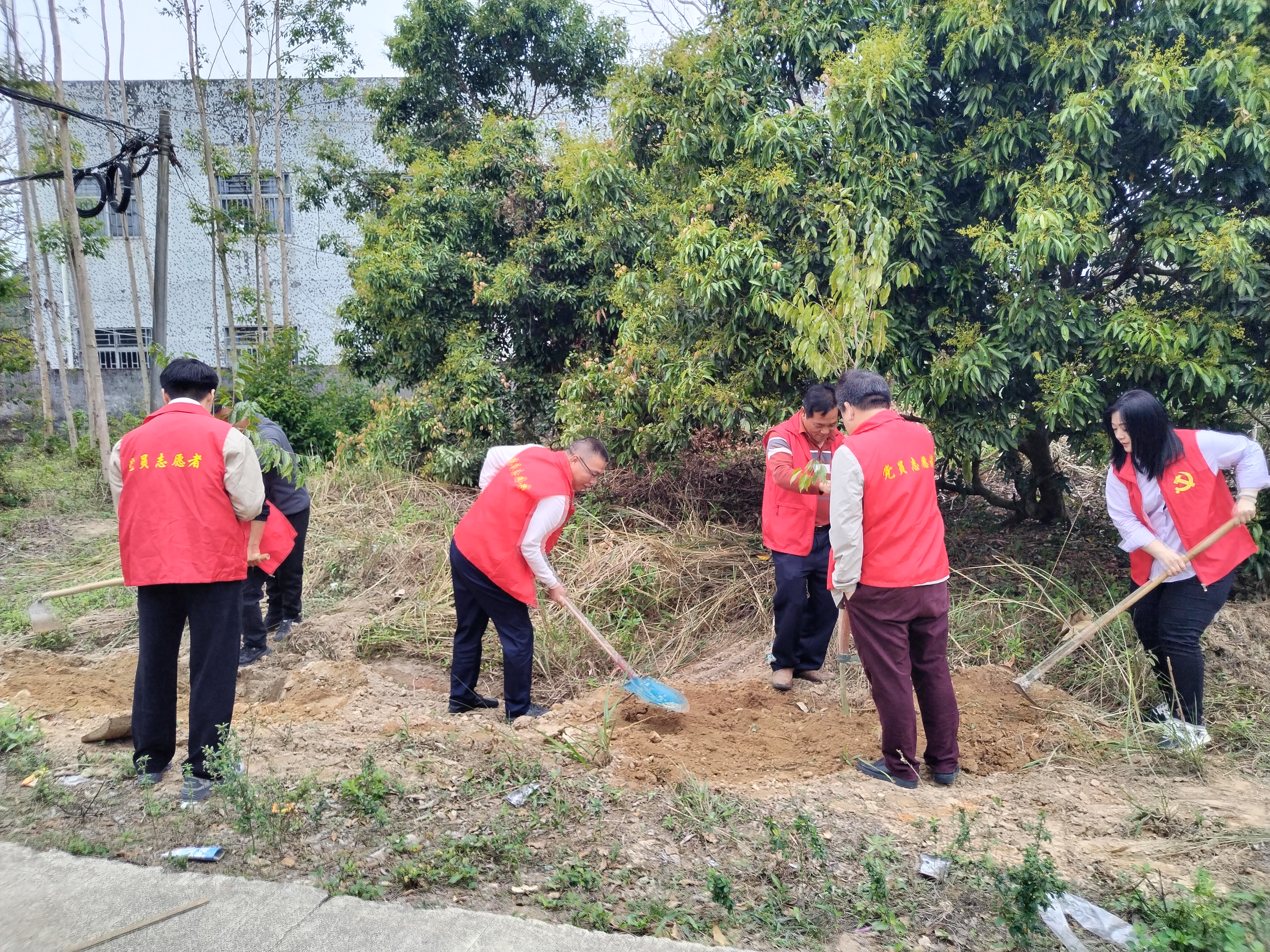 民政简报〔2025〕第7期 市民政局开展党建结对共建“爱绿植绿护绿兴绿”主题党日植树活动(1).doc_10