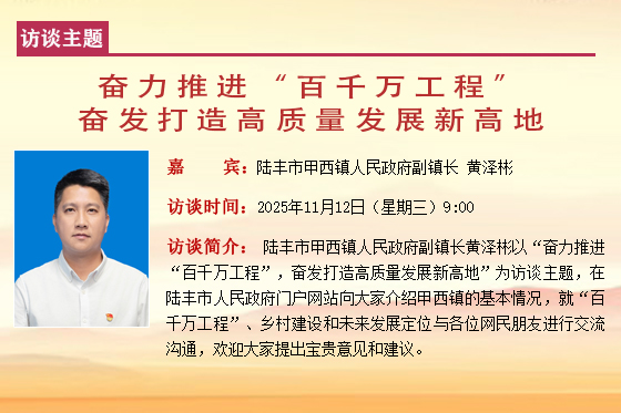 甲西镇副镇长  黄泽彬.jpg