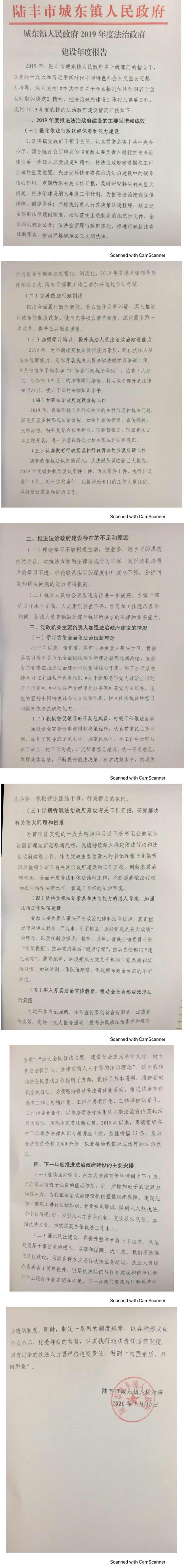 城东镇人民政府2019年度法治政府建设年度报告_0.png