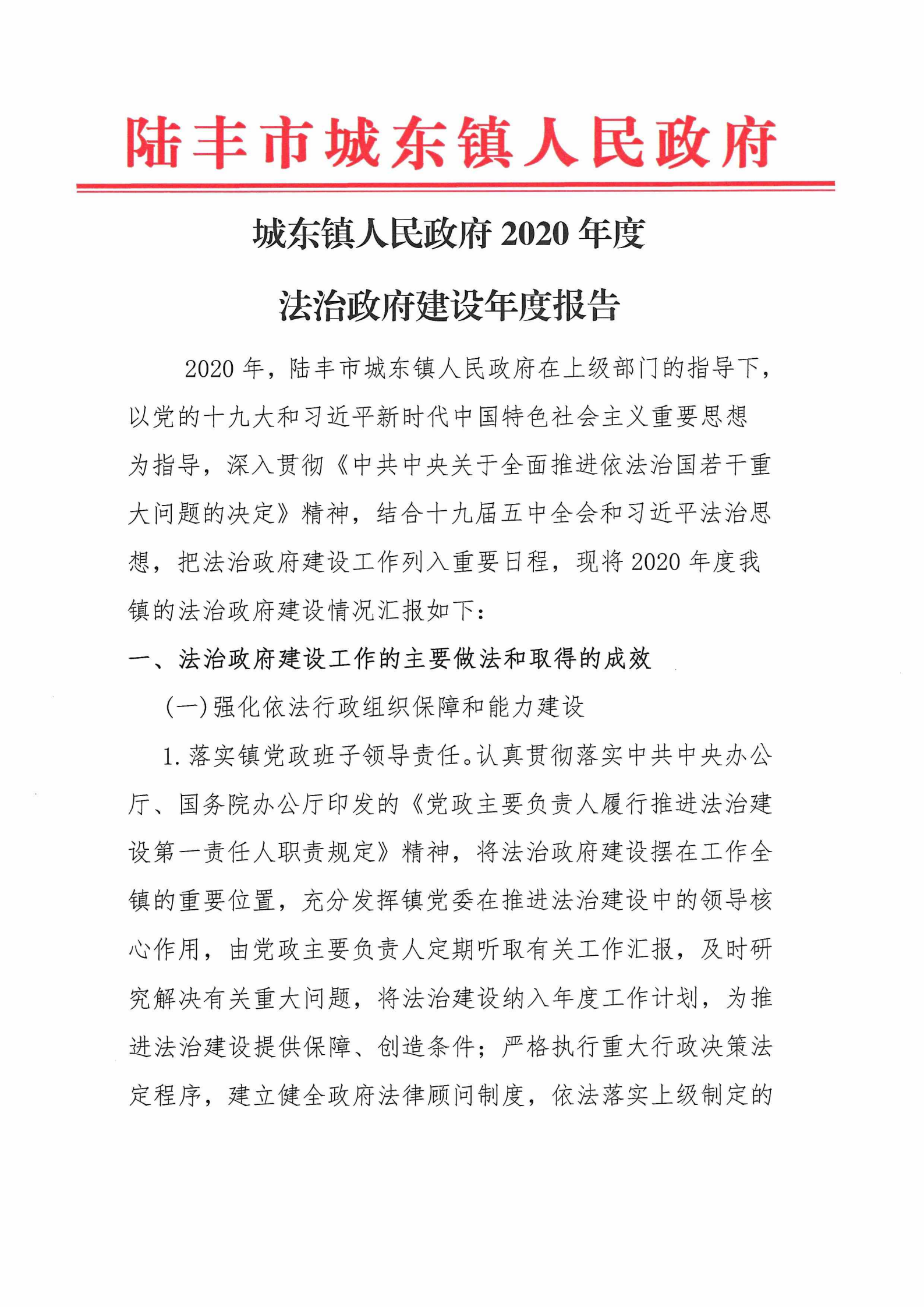 城东镇人民政府2020年度法治政府建设年度报告_00.png