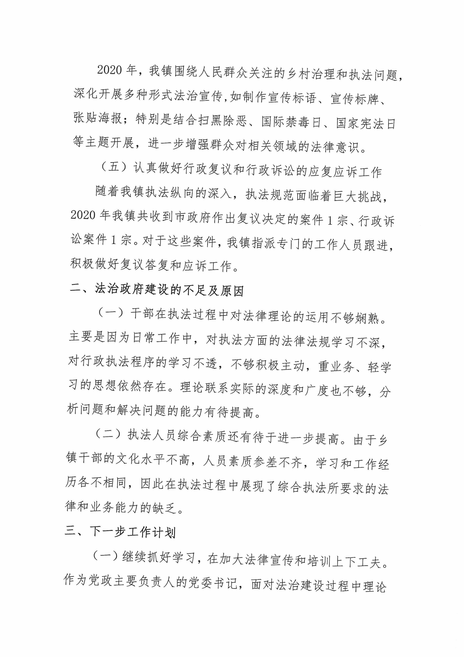 城东镇人民政府2020年度法治政府建设年度报告_02.png