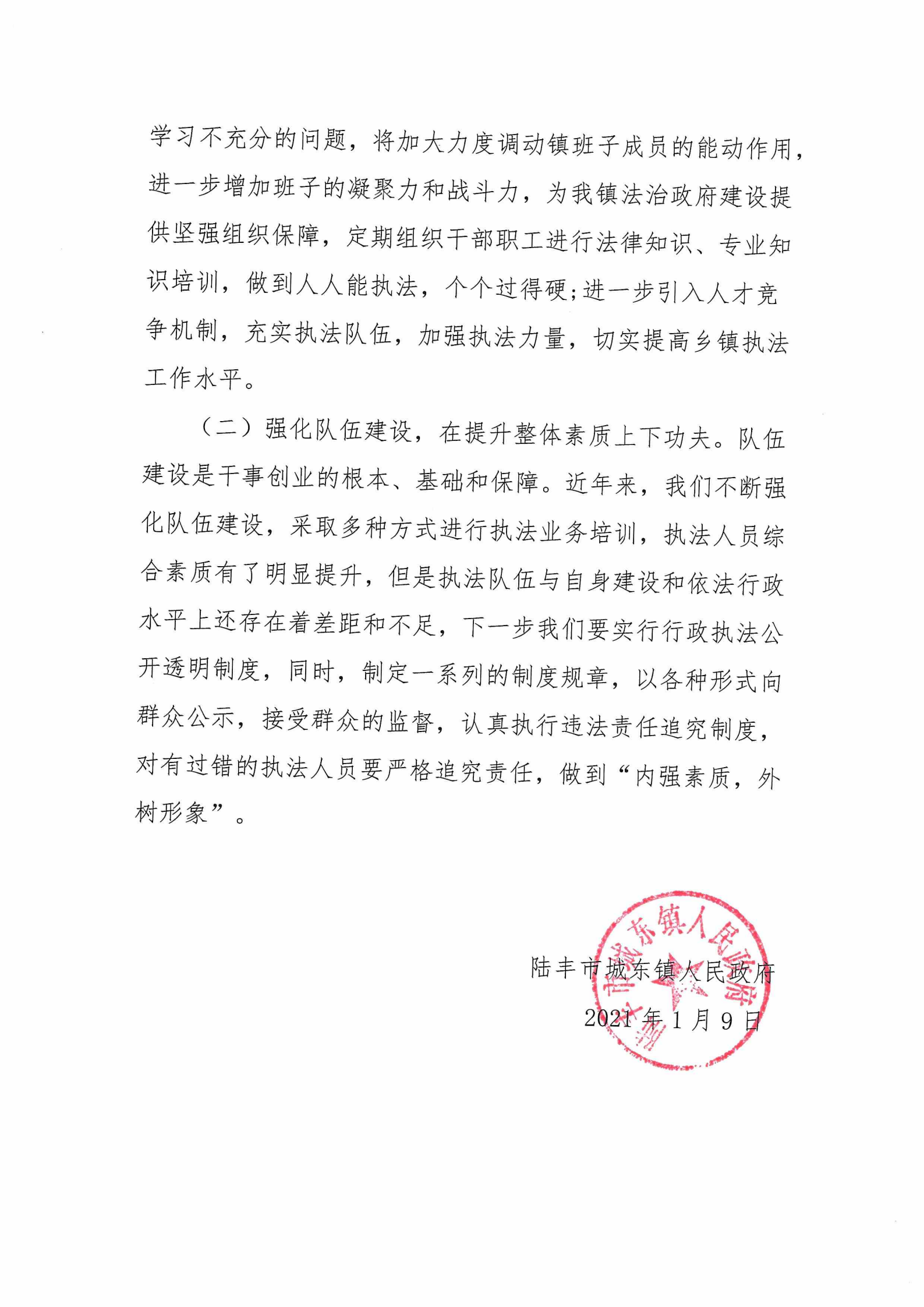城东镇人民政府2020年度法治政府建设年度报告_03.png