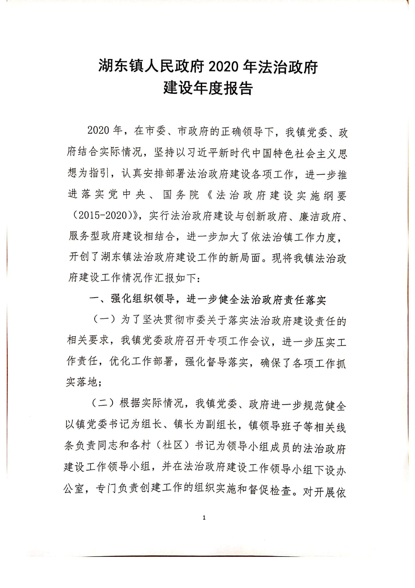 湖东镇人民政府2020年法治政府建设年度报告_00.png