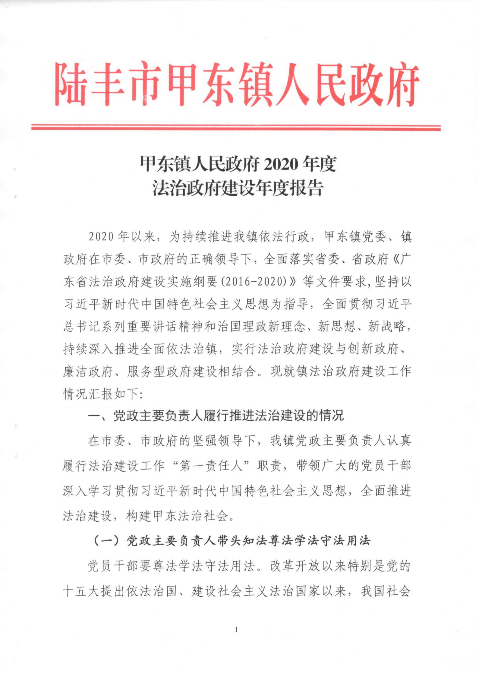 甲东镇人民政府2020年度法治政府建设年度报告_00.png