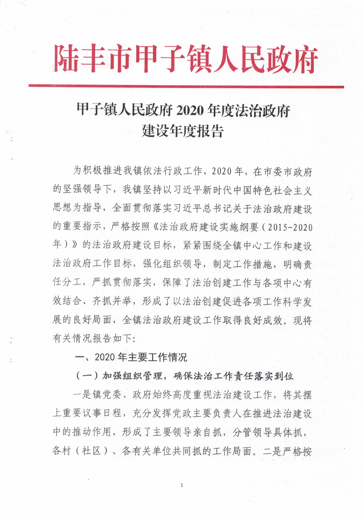 甲子镇人民政府2020年度法治政府建设年度报告_00.png