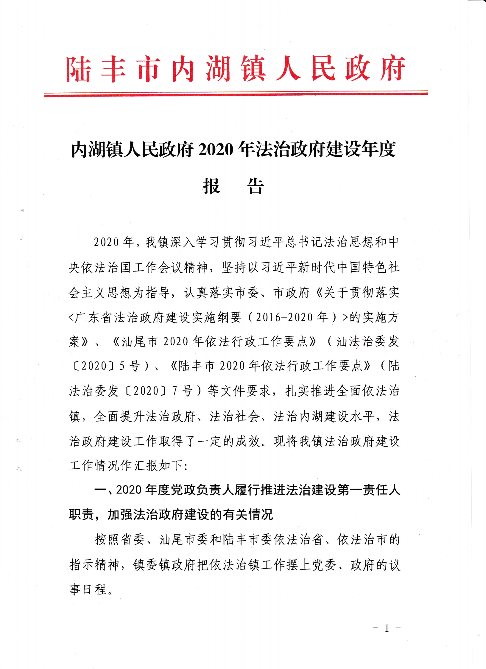 内湖镇人民政府2020年法治政府建设年度报告_00.png