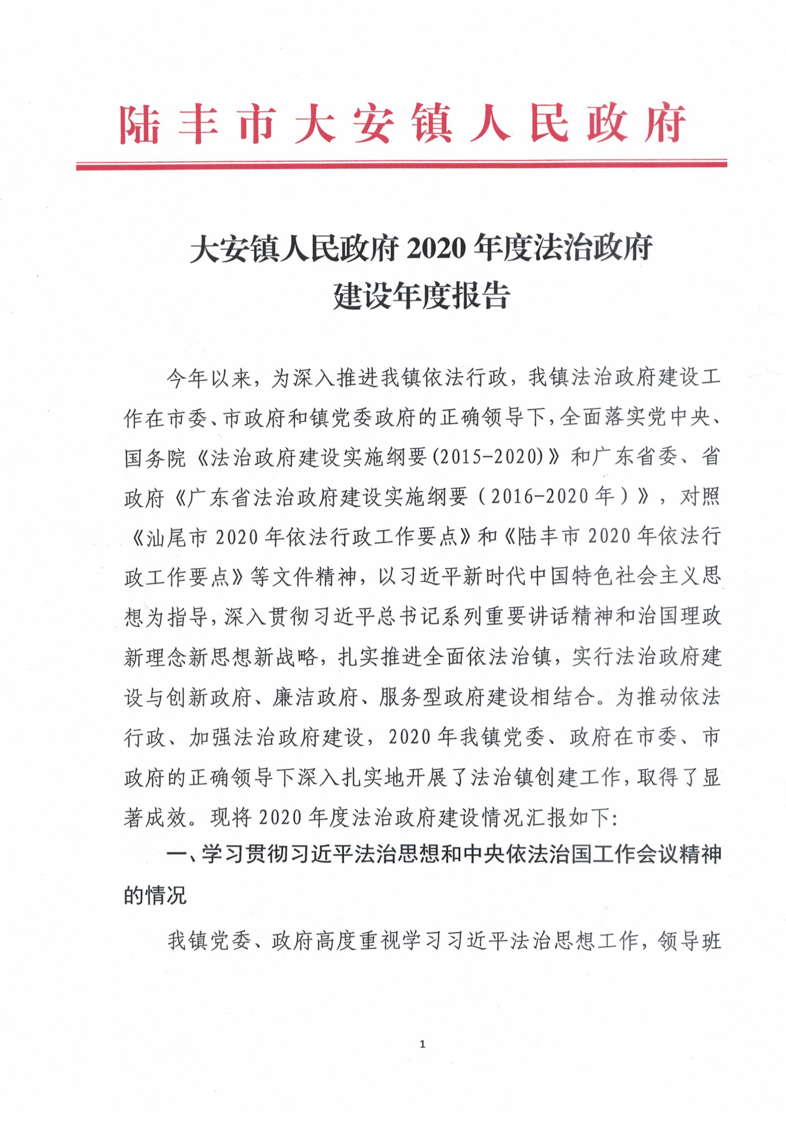 大安镇人民政府2020年度法治政府建设年度报告_00.png