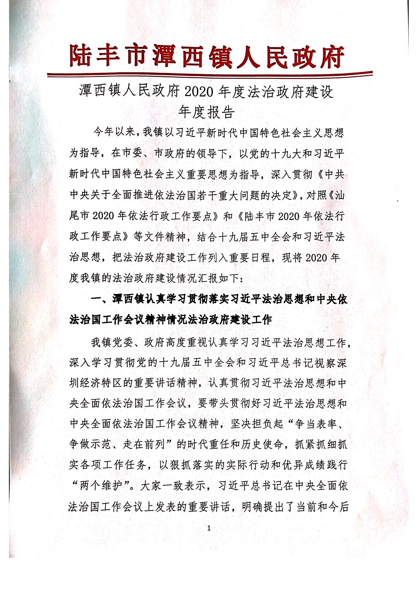 潭西镇人民政府2020年度法治报告1_00.png